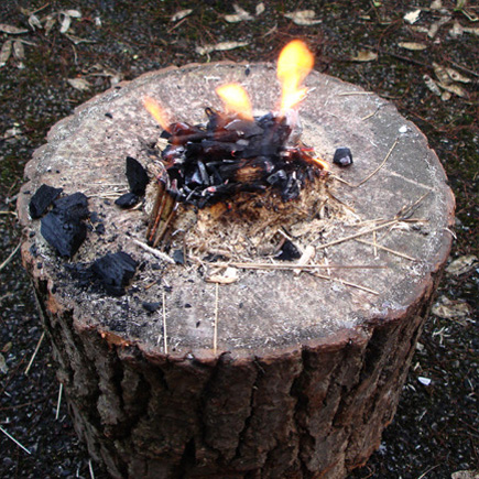 Start of the Burning Process, Pine Wood