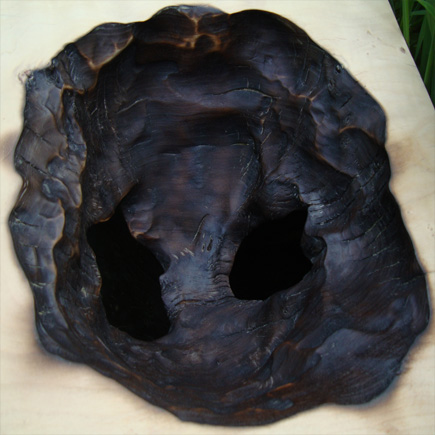 Close-up of Medium Cube Burn, Burnt Poplar